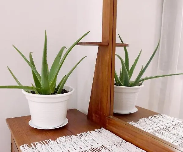 Casa Maria Lägenhet